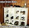 What a Brilliant Idea for cats.....-ikea.jpg
