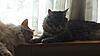 Kubla Khan-dsc_0017.jpg