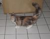 Click image for larger version. 

Name:	lourdes1.jpg 
Views:	10 
Size:	10.2 KB 
ID:	5498