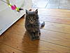 Click image for larger version. 

Name:	IMG_0325.jpg 
Views:	42 
Size:	84.4 KB 
ID:	5505
