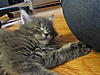 Click image for larger version. 

Name:	IMG_0333.jpg 
Views:	39 
Size:	87.2 KB 
ID:	5506