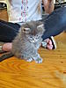 Click image for larger version. 

Name:	IMG_0337.jpg 
Views:	39 
Size:	88.3 KB 
ID:	5508
