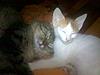 Share your photo Bloopers here-11072010148.jpg