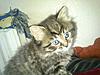 Click image for larger version. 

Name:	mms_img-201586562.jpg 
Views:	28 
Size:	36.8 KB 
ID:	5787