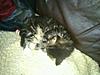 Click image for larger version. 

Name:	mms_img-745798785.jpg 
Views:	27 
Size:	96.3 KB 
ID:	5788
