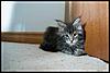Click image for larger version. 

Name:	378455_211550208933454_745921516_n.jpg 
Views:	60 
Size:	30.7 KB 
ID:	5859
