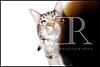 Click image for larger version. 

Name:	jager paw.jpg 
Views:	51 
Size:	22.3 KB 
ID:	5864