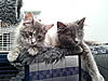 My 2 Boy-20120712_121809.jpg