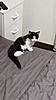 Click image for larger version. 

Name:	p20121108-132306.jpg 
Views:	24 
Size:	69.0 KB 
ID:	6490