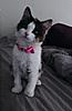 Click image for larger version. 

Name:	p20121105-080010-1.jpg 
Views:	23 
Size:	35.0 KB 
ID:	6491