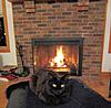 When did you Maine Coon get a "mane"?-408116_606407927269_261255213_n.jpg