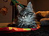 Click image for larger version. 

Name:	013.jpg 
Views:	25 
Size:	90.7 KB 
ID:	6532