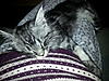 Click image for larger version. 

Name:	20121118_173555.jpg 
Views:	22 
Size:	95.9 KB 
ID:	6533