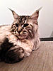 Click image for larger version. 

Name:	longfellow nov 22.jpg 
Views:	29 
Size:	96.0 KB 
ID:	6545