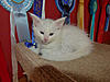 Buffy's New arrivals-cleo30-11b.jpg