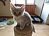 Buffy's New arrivals-elmo30-11a.jpg