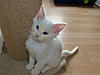 Buffy's New arrivals-max30-11a.jpg