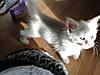 Buffy's New arrivals-tiberius.jpg