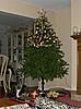 Click image for larger version. 

Name:	Decorating 2012 d.jpg 
Views:	24 
Size:	66.8 KB 
ID:	6624