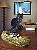 Click image for larger version. 

Name:	IMG_1720.jpg 
Views:	12 
Size:	97.3 KB 
ID:	6638