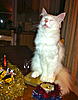 Click image for larger version. 

Name:	IMG_1728.jpg 
Views:	12 
Size:	93.7 KB 
ID:	6639