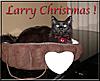 Click image for larger version. 

Name:	483189_578963842130040_739188662_n.jpg 
Views:	10 
Size:	75.0 KB 
ID:	6640