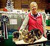 TICA shows-399273_4294815367734_1672727665_n.jpg