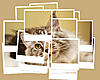 Click image for larger version. 

Name:	longfellow polaroid collage.jpg 
Views:	19 
Size:	51.3 KB 
ID:	6731