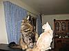 Gus has arrived-013.jpg