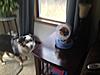 Bath day!-photo-114-.jpg
