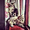 Click image for larger version. 

Name:	IMG_0319.jpg 
Views:	11 
Size:	79.1 KB 
ID:	7148