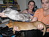 Bought 15th December 2009 .... we have now got her home..-corrigan0004.jpg