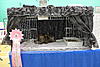 Ruby Blue survives her first TICA show......-ruby-tica-012.jpg