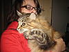 Adopting 2 6 year old Maine Coons-img_6326.jpg