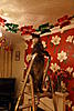Christmas Cats!-tree-007.jpg