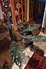 Christmas Cats!-tree-013.jpg
