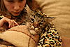 Bathing-all-1113.jpg