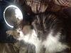 Click image for larger version. 

Name:	IMG_0429.jpg 
Views:	9 
Size:	94.8 KB 
ID:	7853