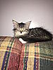 Pipsqueak-1.jpg