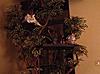 Cat Trees with Leaves-image.jpg