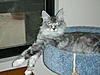Click image for larger version. 

Name:	DSCN0104.jpg 
Views:	27 
Size:	93.4 KB 
ID:	5109