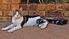 Click image for larger version. 

Name:	photo-001.jpg 
Views:	16 
Size:	91.5 KB 
ID:	6395