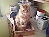 Click image for larger version. 

Name:	IMG_9323.jpg 
Views:	7 
Size:	15.7 KB 
ID:	7397