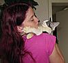 We have some kittens ready  for adoption-our-babies-29-08-2011-401.jpg