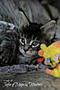Click image for larger version. 

Name:	Jaffa.jpg 
Views:	19 
Size:	40.3 KB 
ID:	7751