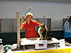 Maine Coon & Neva Masquerade Cattery-Gorey co.Wexford-006.jpg