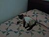 Norman Bates making himself to home-photo0229.jpg