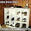 funny cats-ikea-cat.jpg