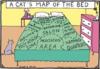 funny cats-bed-map.jpg