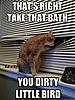 funny cats-dirty-bird.jpg